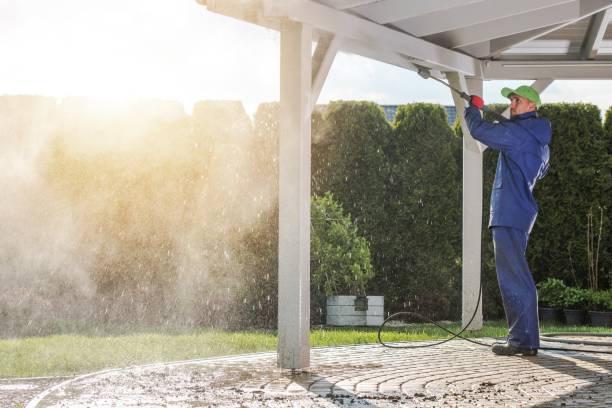 Best Gutter Cleaning  in Pleasanton, KS
